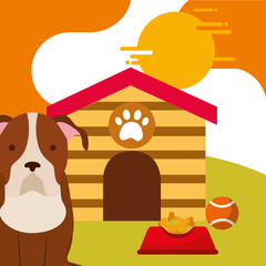 pet dog sitting with food and toy ball dog house vector illustration