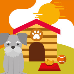 pet dog sitting with food and toy ball dog house vector illustration