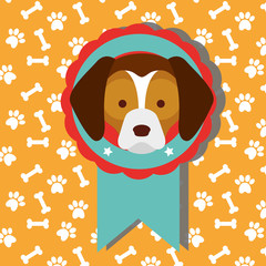 cute dog show medal with winner of dogs competition with bones background vector illustration