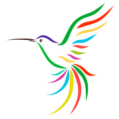 Colorful little bird, pattern, hummingbird