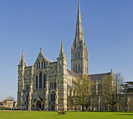Fototapeta na wymiar The historic Salisbury Cathedral.