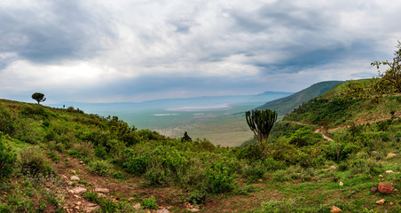 Fototapeta na wymiar Ngorongoro crater in Tanzania