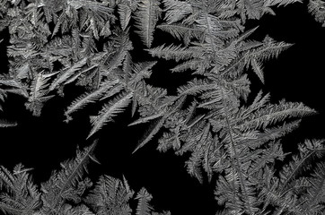 Ice flower structures on a black background