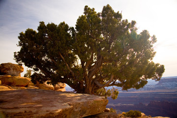 Dead Horse State Park , UT