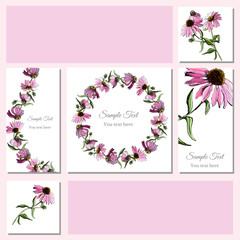 Set greeting and visit card. Hand drawn colored  sketch with wreath of echinacea flowers and  bouquet. Vector illustration