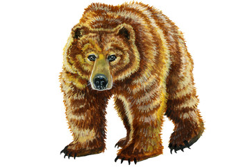 Watercolor painted brown bear isolated on white