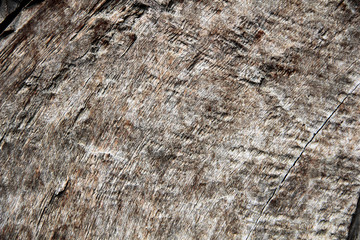 Brown wood texture