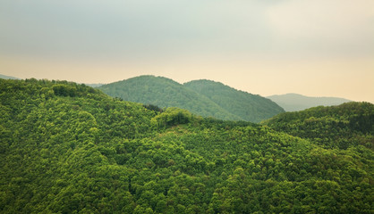 Landscape near Tolmin. Slovenia