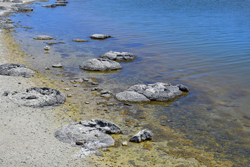 Australia, Nature, Stromatolites