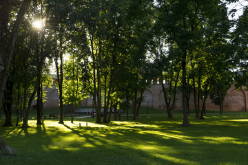 city Park, evening sunlight breaking through the trees