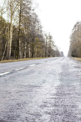 Obraz premium Old asphalt road. Asphalt road and spring forest