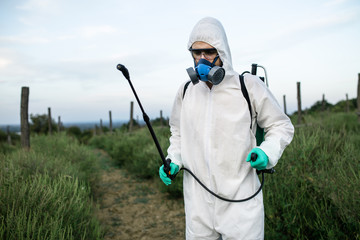 Weed control. Industrial agriculture theme. Man spraying toxic pesticides or insecticides on fruit growing plantation. Natural hard light on sunny day. 