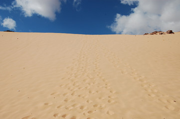 Traces of people on the sandy road through the desert to the sky.