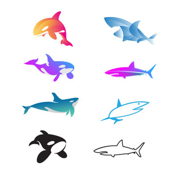 set of shark, whale logo