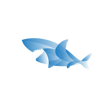 shark color logo