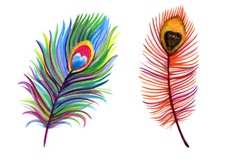 Set of watercolor painted feathers isolated on white