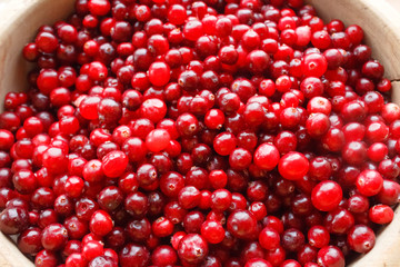Close-up macro of red berries in a big pile
