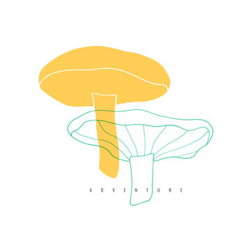 Hand drawn mushroom illustration 
