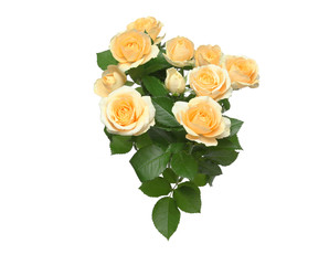 薔薇の花束