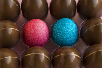 Decorative blue and pink color Easter Eggs in transparent egg holder with chocolate eggs.Macro taken,isolated.