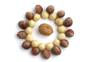 Hazelnuts, Macadamia and a walnut