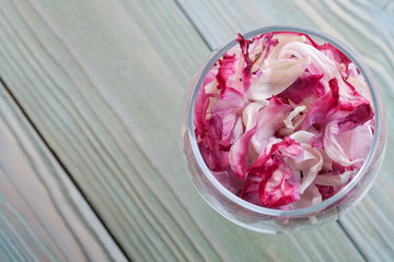 Pink tulip petals in a glass, close-up