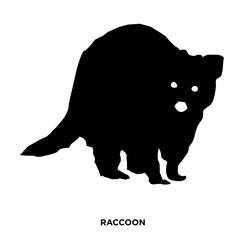 raccoon silhouette on white bakground,in black