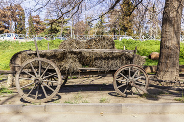 Fototapeta na wymiar Old wooden cart with hay