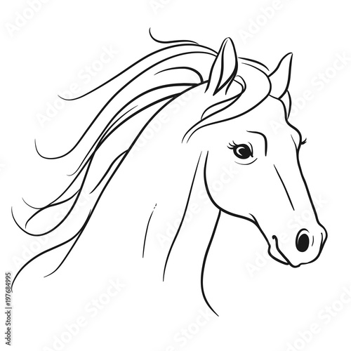 "Horse head with flowing mane portrait side view, pen and ink style black and white simple line