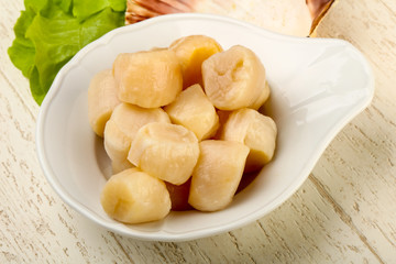 Raw scallops heap