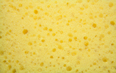 Yellow sponge texture background