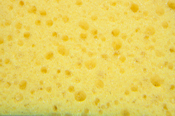 Yellow sponge texture background