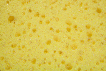 Yellow sponge texture background