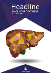 Realistic human liver cancer with bile duct and gallbladder in low poly.  Cirrhosis liver. Good for medical annual report, banner, book cover