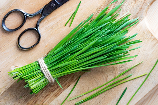 Fresh wheatgrass and scissors on a wooden cutting board