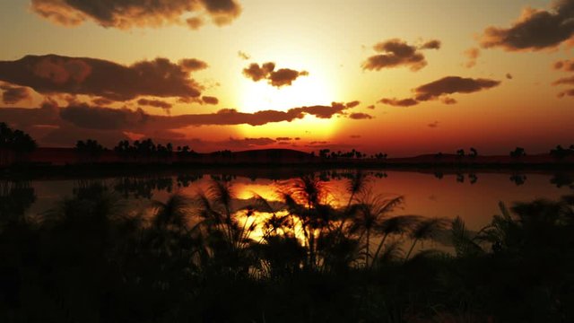 sunset over oasis