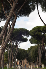 Passeggiata dietro al Colosseo