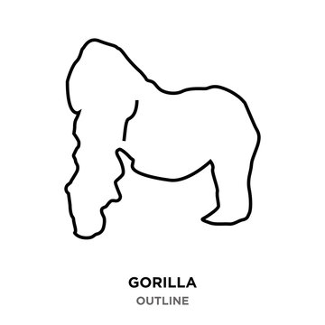 gorilla outline on white background