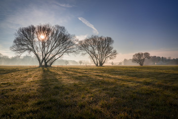 Fototapeta premium Sonnenaufgang mit Morgennebel