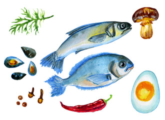 raw fish, egg, pepper and spice watercolor illustration. Isolated on white.