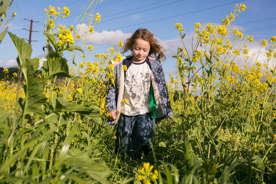 Girl walking in mustard flower field in summer