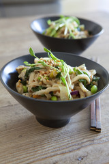 Chicken Peanut Udon Noodles