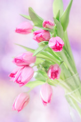 Fototapeta premium Bukiet różowi tulipany na defocused tle