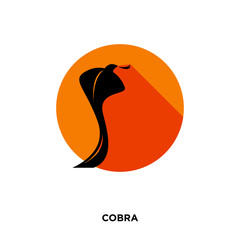 cobra icon on white backgroun, in black and orange, vector icon illustration
