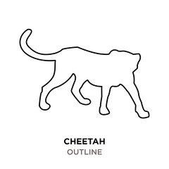 cheetah outline on white background