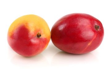Mango fruit isolated on white background close-up
