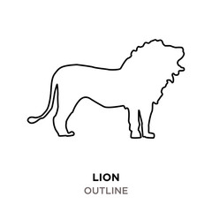 lion outline images on white background