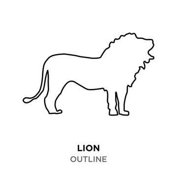 lion outline images on white background