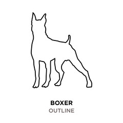 boxer outline on white background