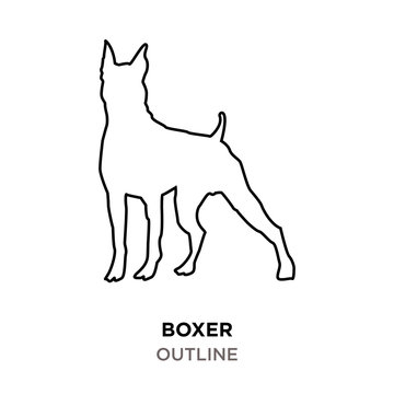 boxer outline on white background